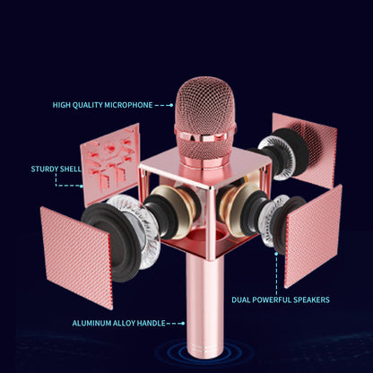 Microphone And Soundbox Integrated