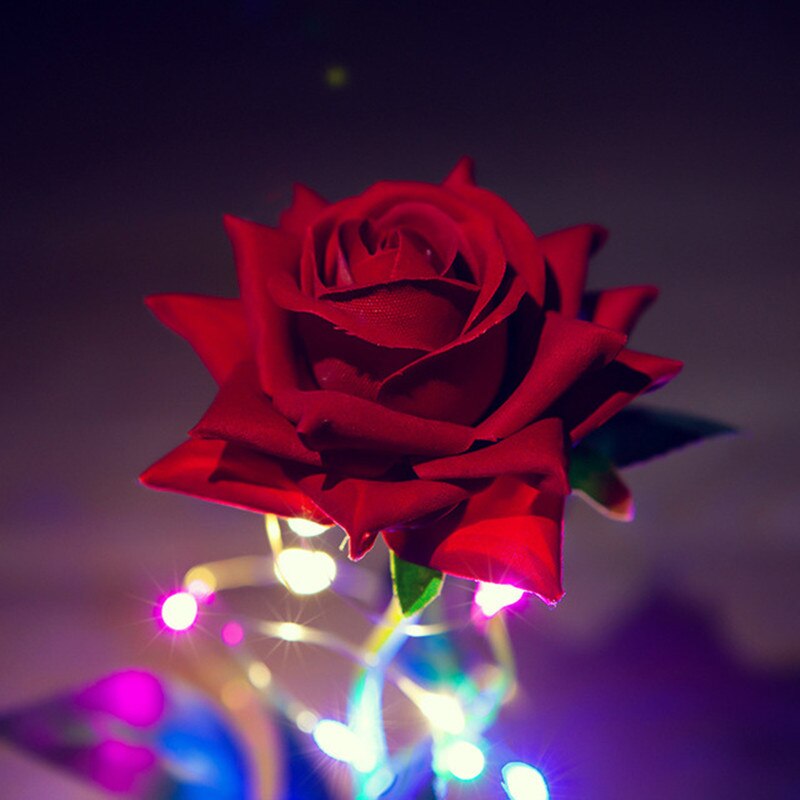 Lightning Galaxy Rose