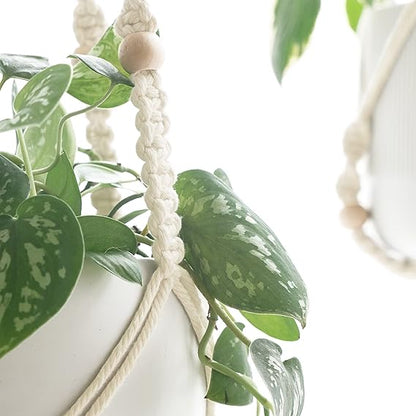 Hanging Plant Basket