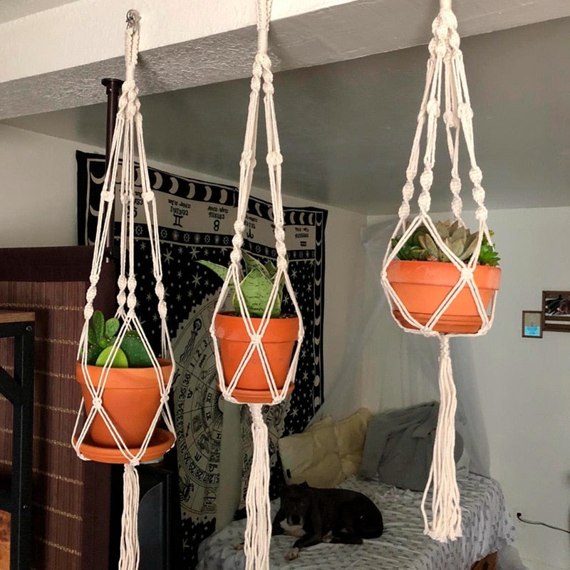 Hanging Plant Basket