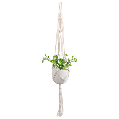 Hanging Plant Basket